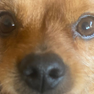 Meet your Posher, Kenna